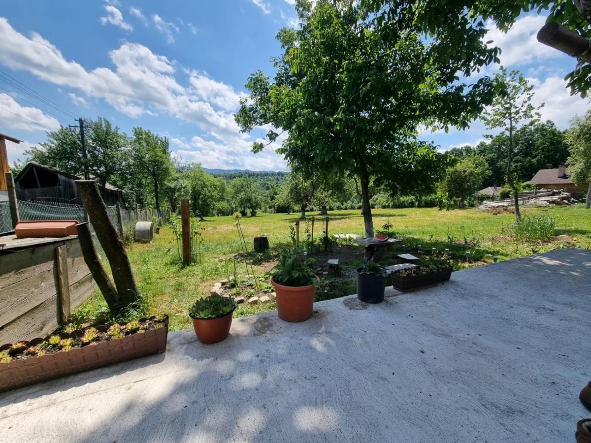 Casa Primitoare In Inima Naturii Si Padurii בית נופש *